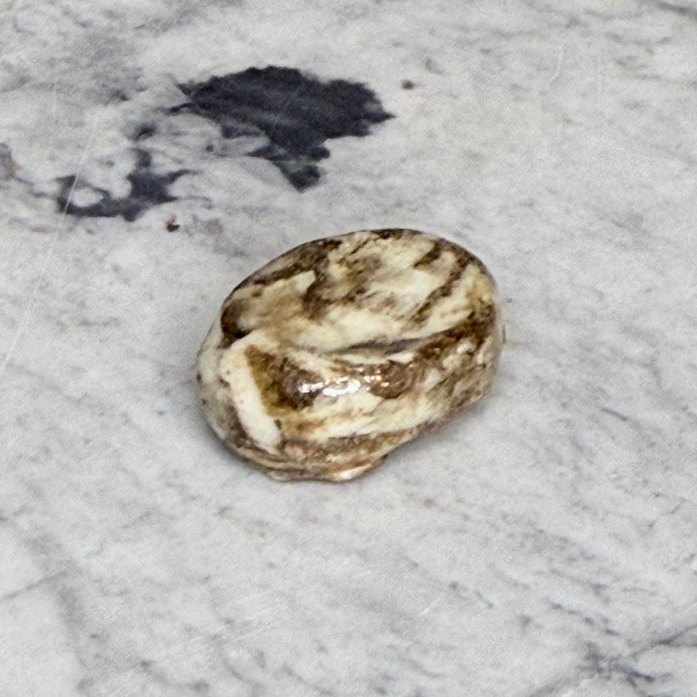 Worry Stone No. 16